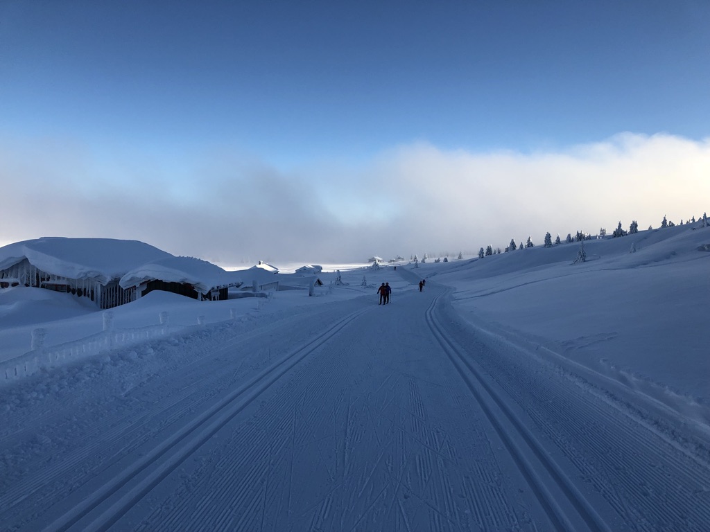 Cross Country Skiing