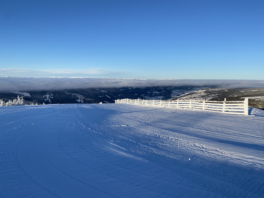 Morning fresh tracks